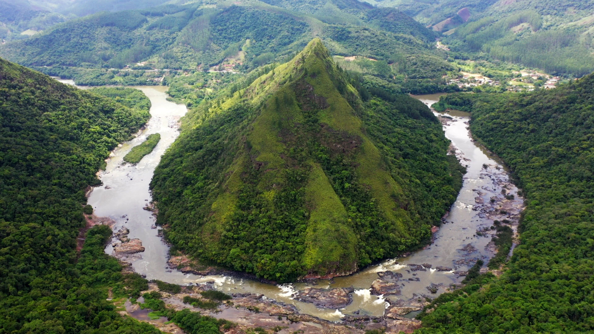 encontrar dois pássaros iguais. atividade de correspondência em preto e  branco da floresta ou página para