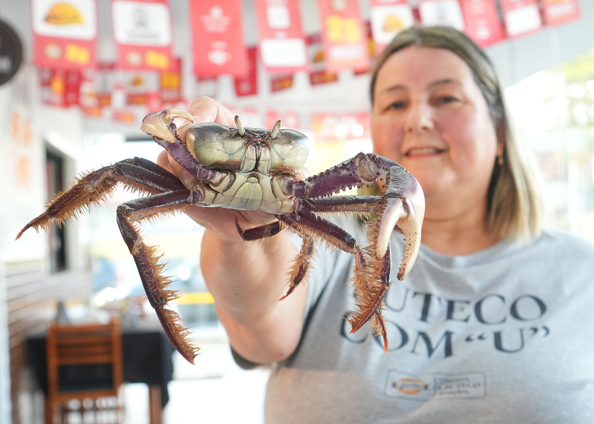 Tânia prepara os caranguejos no local, prato é muito pedido na petisqueira | Foto: Fernando Oliveira, NSC Total
