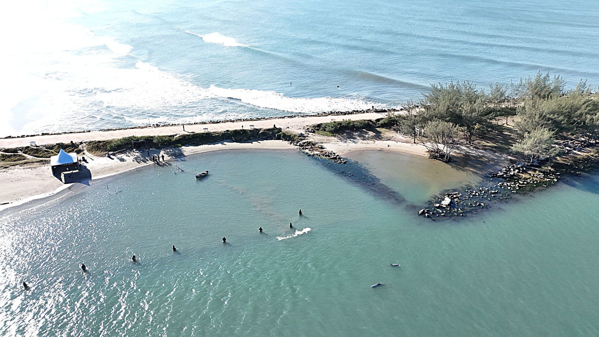 Área dos molhes da Praia da Barra é a mais frequentada por botos