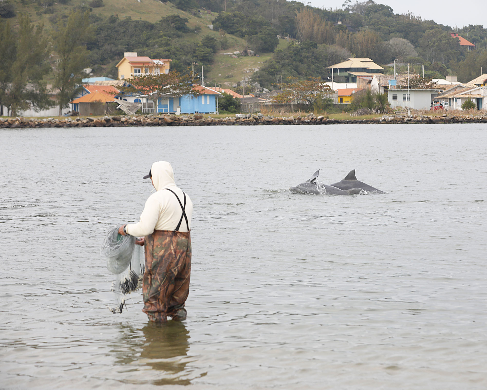 Pesca depende do equilíbrio delicado entre boto, estuário, tainha e pescador