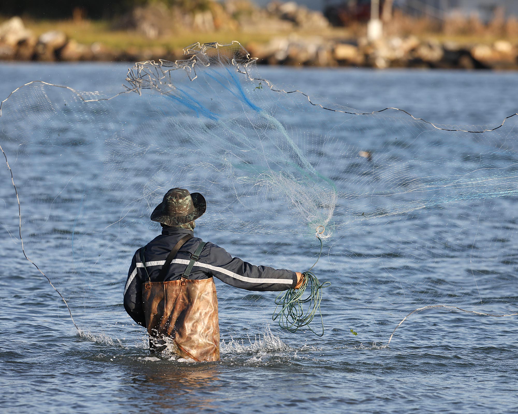 Tarrafa de argola é usada na pesca em Laguna