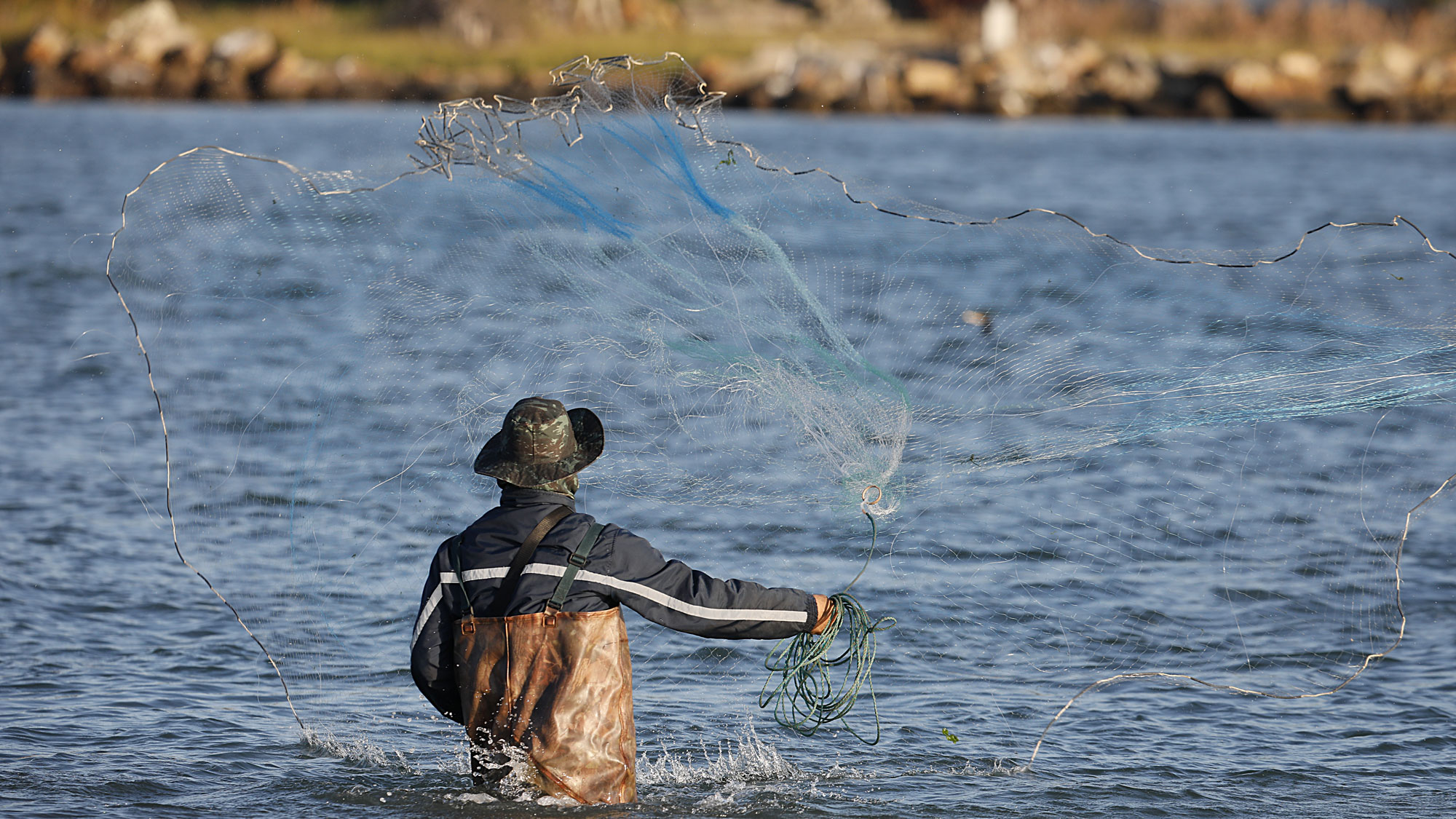 Tarrafa de argola é usada na pesca em Laguna