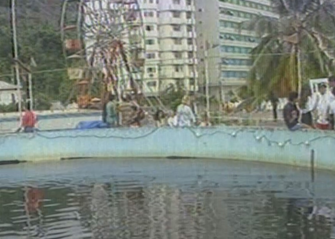 Flipper foi capturado em Laguna, em 1984, e levado para o Oceanário de São Vicente, no Litoral de São Paulo, onde vivia em um tanque (Foto: NSC TV, Reprodução)